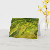 Looking Down On Rice Fields Karte (Gelbe Blume)