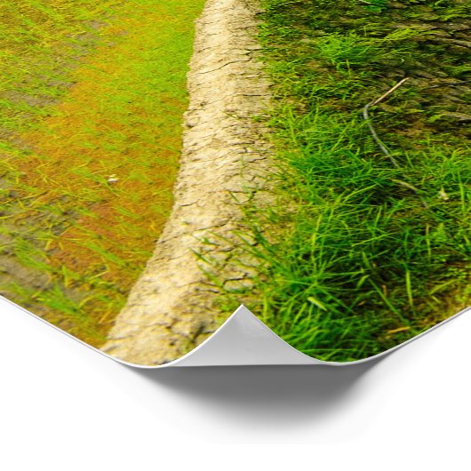 Looking Down On Rice Fields Poster (Ecke)