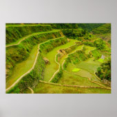 Looking Down On Rice Fields Poster (Vorne)