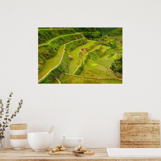 Looking Down On Rice Fields Poster (Küche)