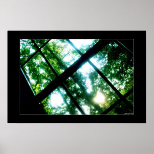 looking for freedom poster