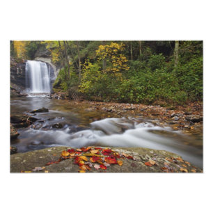 Looking Glass Falls im Pisgah National Fotodruck