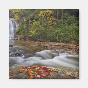 Looking Glass Falls im Pisgah National Magnet