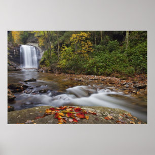 Looking Glass Falls im Pisgah National Poster