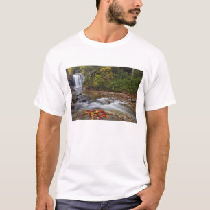 Looking Glass Falls im Pisgah National T-Shirt