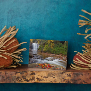 Looking Glass Falls Pisgah National Forest Fotoplatte