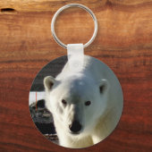 Looking into the eye of a Polar bear Schlüsselanhänger (Vorderseite)