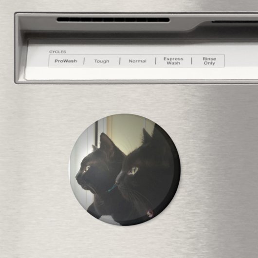 looking out the window magnet (In Situ (Geschirrspüler))