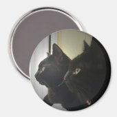 looking out the window magnet (Vorderseite/Rückseite)