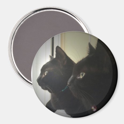 looking out the window magnet (Vorderseite/Rückseite)