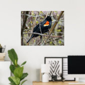 Looking Poster (Heimbüro)