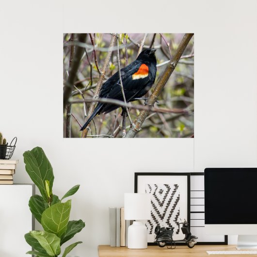 Looking Poster (Heimbüro)