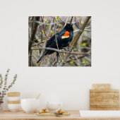 Looking Poster (Küche)