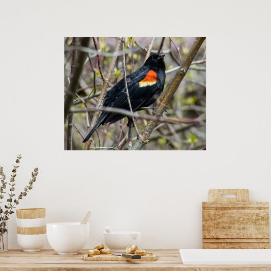 Looking Poster (Küche)