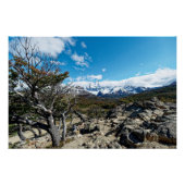 Looking towards Mt Fizroy Poster (Vorderseite)