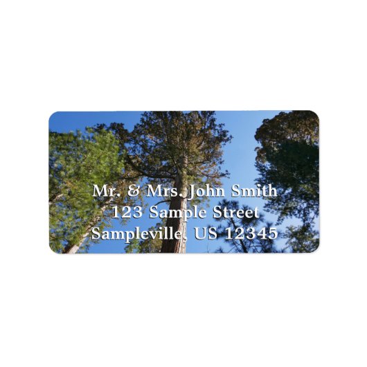 Looking Up at Mariposa Grove Adressaufkleber (Vorne)