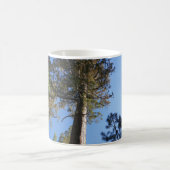 Looking Up at Mariposa Grove Kaffeetasse (Mittel)