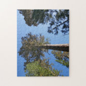 Looking Up at Mariposa Grove Puzzle (Vertikal)