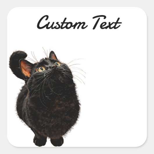 Looking Up Cat -4 | Personalized Custom Text Quadratischer Aufkleber (Vorderseite)