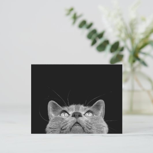 Looking up - Postcard Postkarte (Stehend Vorderseite)