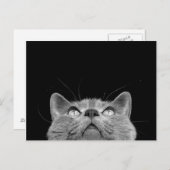 Looking up - Postcard Postkarte (Vorne/Hinten)