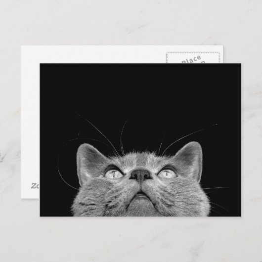 Looking up - Postcard Postkarte (Vorne/Hinten)