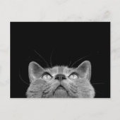 Looking up - Postcard Postkarte (Vorderseite)