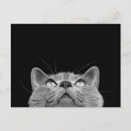 Looking up - Postcard Postkarte