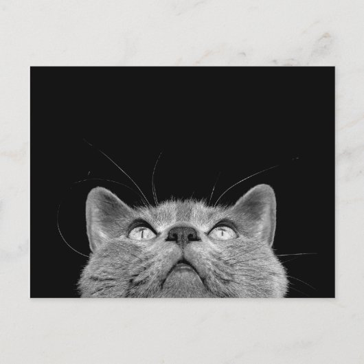 Looking up - Postcard Postkarte (Vorderseite)