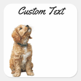 Looking Up Puppy-3 | Personalized Custom Text Quadratischer Aufkleber