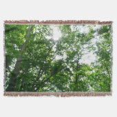 Looking Up to Summer Trees Decke (Vorderseite)