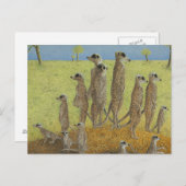 Lookout Postkarte (Vorne/Hinten)