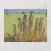 Lookout Postkarte (Vorderseite)