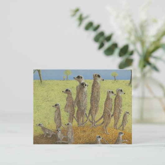 Lookout Postkarte (Stehend Vorderseite)