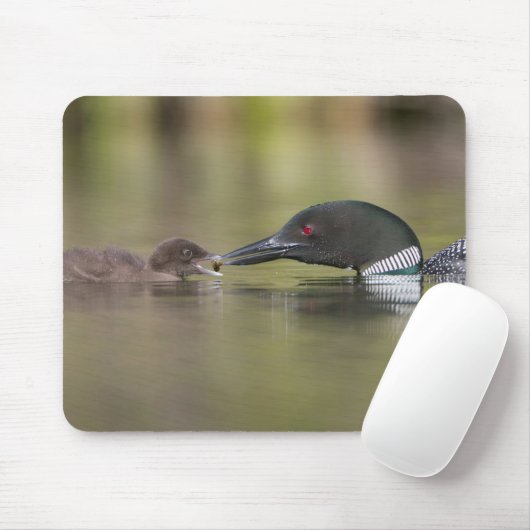 Loon Adult Füttre Chick Mousepad (Mit Mouse)