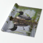 Loon auf Nest-Packpapier Geschenkpapier (Ungerollt)