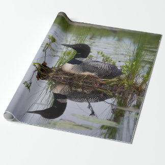Loon auf Nest-Packpapier Geschenkpapier