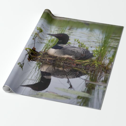 Loon auf Nest-Packpapier Geschenkpapier (Ungerollt)