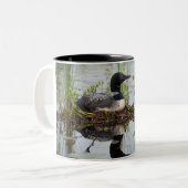 Loon auf Nest Zweifarbige Tasse (Vorderseite Links)