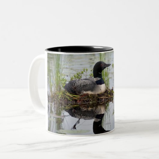 Loon auf Nest Zweifarbige Tasse (Vorderseite Links)