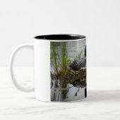 Loon auf Nest Zweifarbige Tasse (Links)