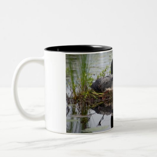 Loon auf Nest Zweifarbige Tasse (Links)
