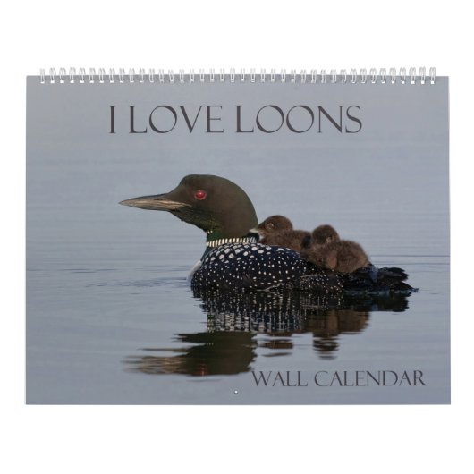 Loon Calendar - 14.25 x 11 (großer Wandkalender) Kalender (Titelbild)