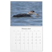 Loon Calendar - 14.25 x 11 (großer Wandkalender) Kalender (Feb 2026)