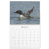 Loon Calendar - Großformat Kalender (Mär 2027)