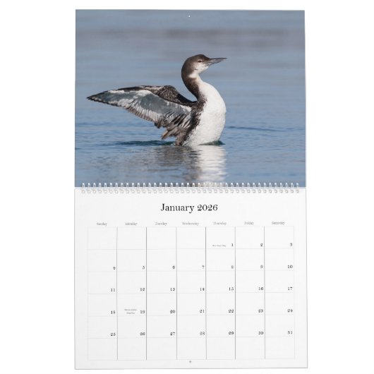 Loon Calendar - Großformat Kalender (Jan 2026)