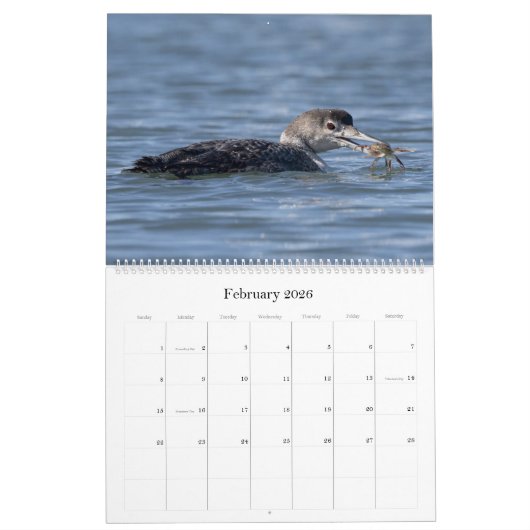 Loon Calendar - Großformat Kalender (Feb 2026)