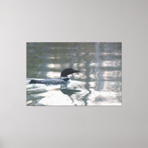 Loon Canvas Print Leinwanddruck