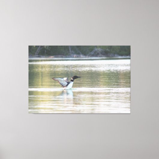 Loon Canvas Print Leinwanddruck (Vorderseite)