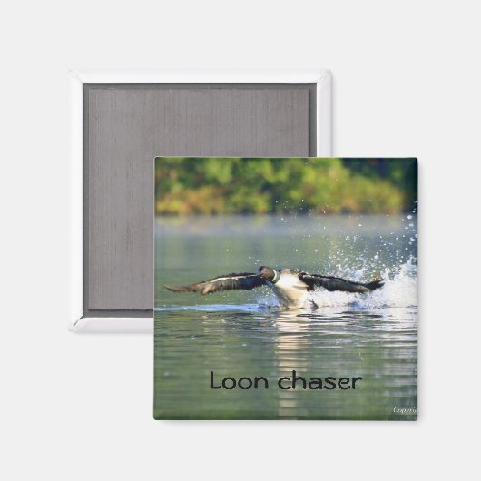 Loon chaser Magnet (Vorderseite/Rückseite)